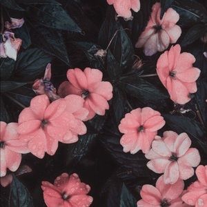 Meet your Posher, Marisol